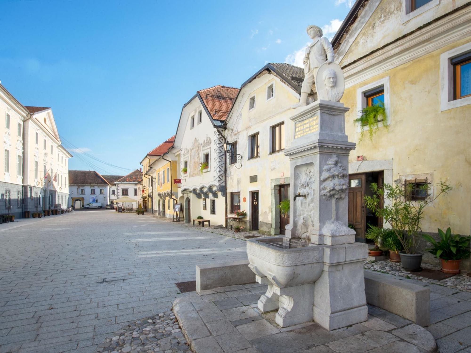 Art House Radovljica Διαμέρισμα Εξωτερικό φωτογραφία